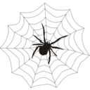 download Spider Web clipart image with 0 hue color