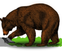 Colored Bear
