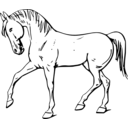 download Walking Horse Outline clipart image with 135 hue color