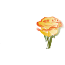 download Yellowrose clipart image with 0 hue color