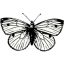 download Cabbage Moth clipart image with 0 hue color