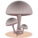 download Mushroom clipart image with 0 hue color