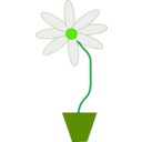 download Flower In A Pot clipart image with 45 hue color