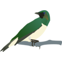 download Exotical Bird clipart image with 180 hue color
