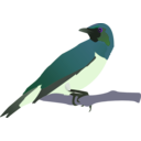 download Exotical Bird clipart image with 225 hue color