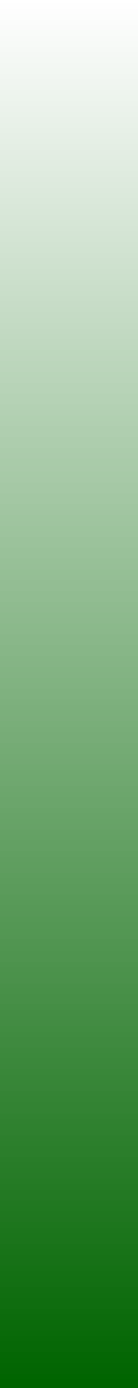 Ws Gradient Darkgreen