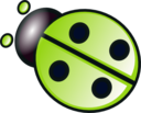 Green Ladybug