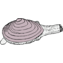 download Clam clipart image with 315 hue color