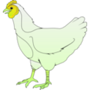 download Ayam Betina clipart image with 45 hue color