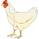 download Ayam Betina clipart image with 0 hue color