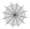 Halloween Spider Web Icon