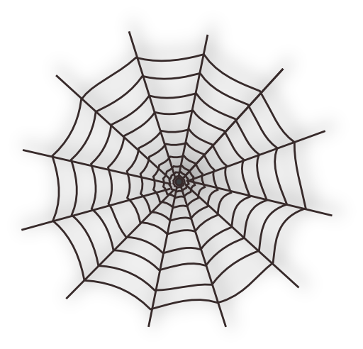 Halloween Spider Web Icon