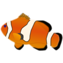 download Aquarium Fish Amphiprion Percula clipart image with 0 hue color