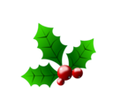 Holly Berries