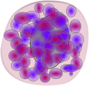 Basophil