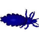 download Louse clipart image with 225 hue color