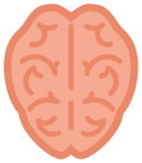 Brain