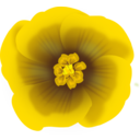 download Flower Yellow clipart image with 0 hue color