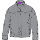 download Jacket clipart image with 270 hue color