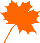 Maple Leaf