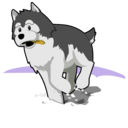 download Husky Running In Snow clipart image with 45 hue color