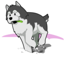 download Husky Running In Snow clipart image with 90 hue color