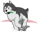 download Husky Running In Snow clipart image with 135 hue color