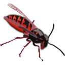 download Wasp clipart image with 315 hue color