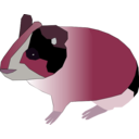 download Guinea Pig clipart image with 315 hue color