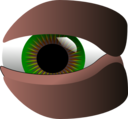 Eye