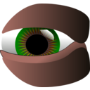 download Eye clipart image with 0 hue color