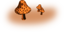 Mushrooms