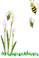 Bees And Flowers