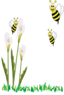 Bees And Flowers