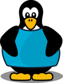 Penguin With A Shirt