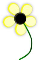 Yellow Daisy