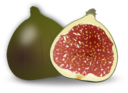 Fig Fruit