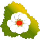 download Strawberry Flower clipart image with 315 hue color