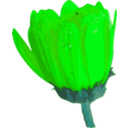 download Flower 07 clipart image with 90 hue color