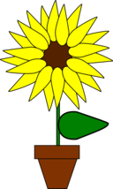 Girasol