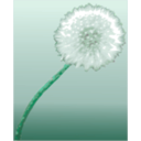 download Pusteblume 2 Dandelion Clock clipart image with 90 hue color