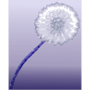 download Pusteblume 2 Dandelion Clock clipart image with 180 hue color