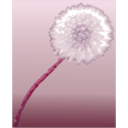 download Pusteblume 2 Dandelion Clock clipart image with 270 hue color