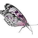 download Butterfly clipart image with 270 hue color