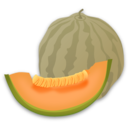 download Musk Melon clipart image with 0 hue color