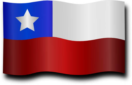 Chilean Flag 4