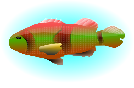 Colourful Fish
