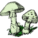 download Two Mushrooms clipart image with 45 hue color