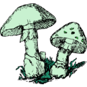 download Two Mushrooms clipart image with 90 hue color