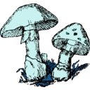 download Two Mushrooms clipart image with 135 hue color